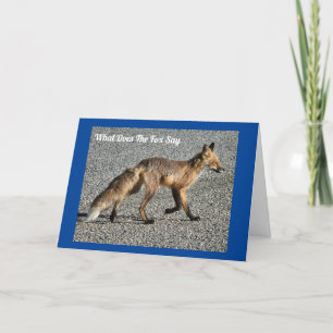 Mr. Wild Fox Birthday Card