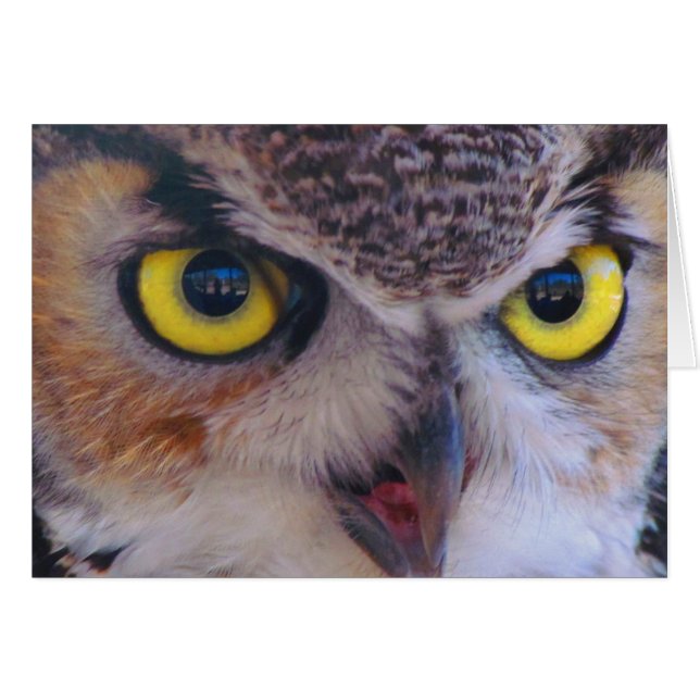 Mr. Wilson Card (Front Horizontal)