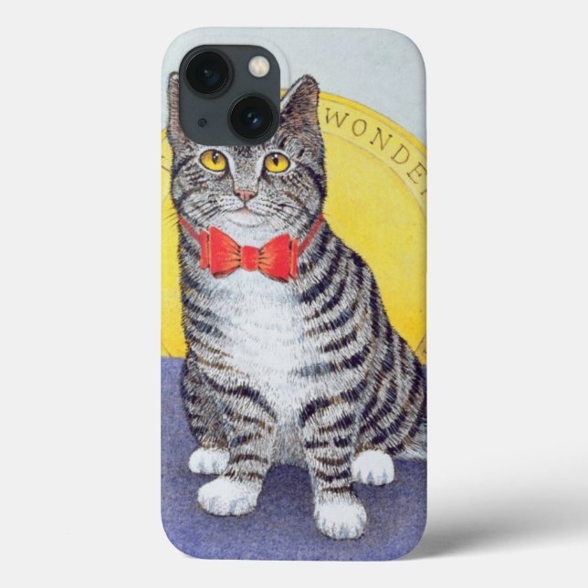 Mr Wonderful Case-Mate iPhone Case (Back)