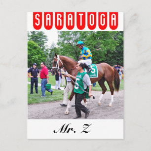 Mr. Z in the 100th Sanford Stakes Postcard