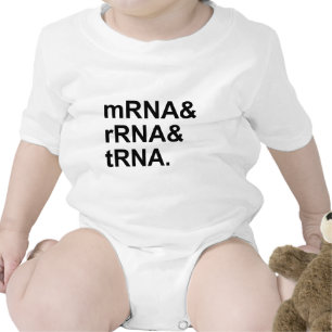 mRNA rRNA tRNA Types of RNA Baby Bodysuit