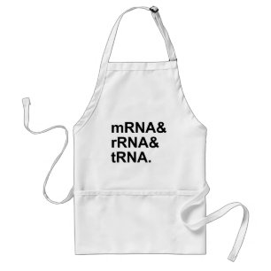 mRNA rRNA tRNA   Types of RNA Standard Apron
