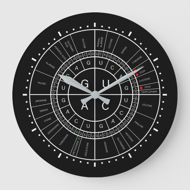 mRNA to AMINO ACID CODON WHEEL Large Clock (Front)