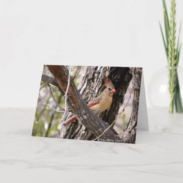 Mrs. Cardinal-2004 Card (Front)