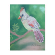 Mrs. Cardinal