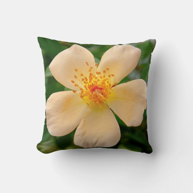 Mrs. Oakley Fisher Rose Cushion (Front)