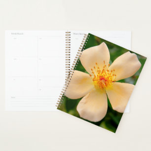 Mrs. Oakley Fisher Rose Planner