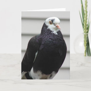 Mrs. Pigeon Card