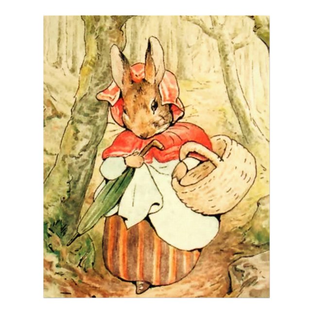 Mrs Rabbit Goes to Market by Beatrix Potter Photo Print (Front)