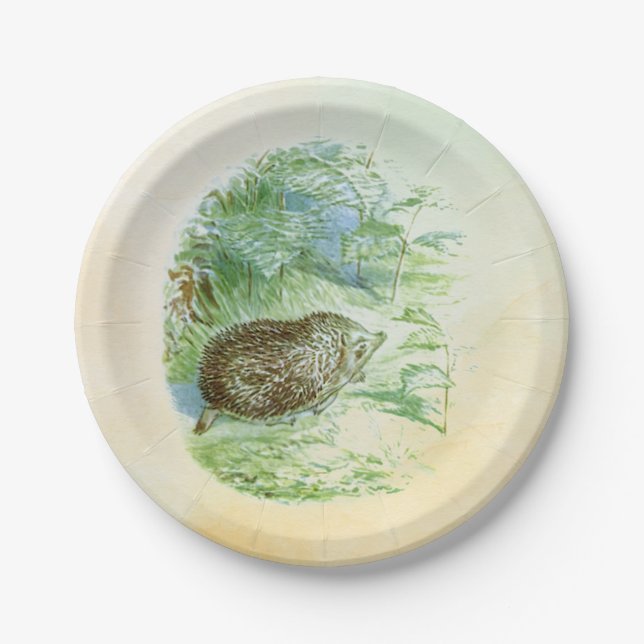  Mrs. Tiggy-Winkle Paper Plates (Front)