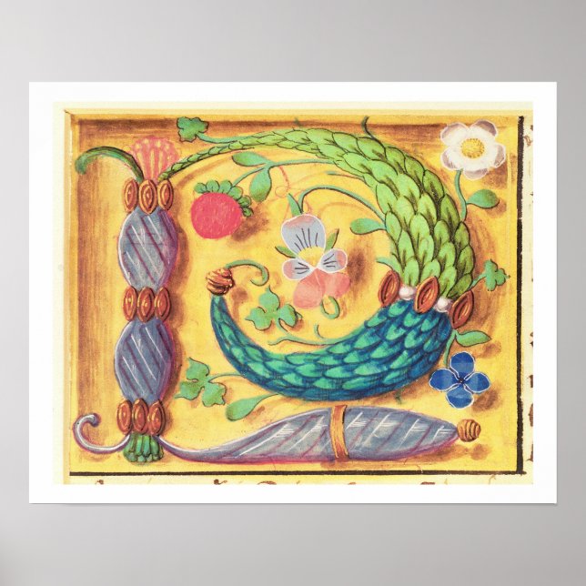 Ms 134 Illuminated letter `P' decorated with flowe Poster (Front)