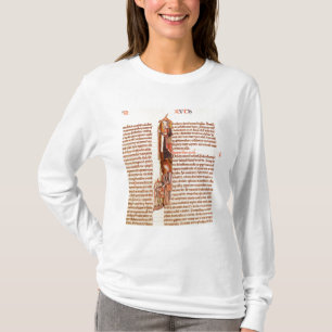 Ms 21 fol.97 Ruth and Boaz, from a Bible T-Shirt