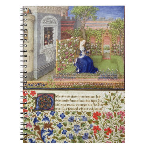 Ms 2617 Emilia in her garden, Plate 22, from 'La T Notebook