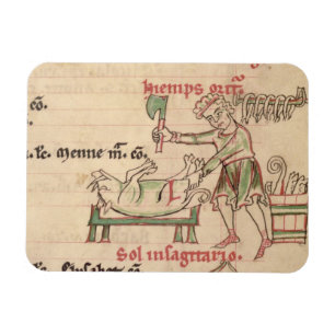 Ms 54. f.6r November: Killing the Pig, from a Cist Magnet