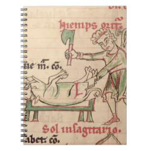 Ms 54. f.6r November: Killing the Pig, from a Cist Notebook