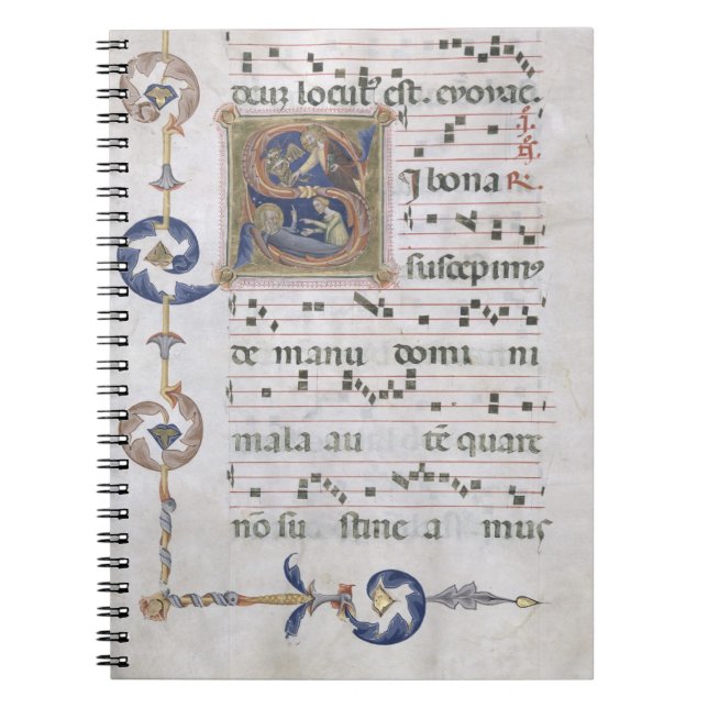 Ms 564 f.13v Page with historiated initial 'S' dep Notebook (Front)