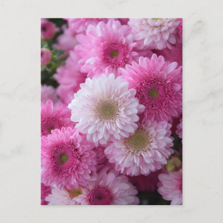 MS Art Design Postcard