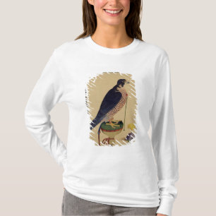 Ms E-14 Falcon, from a Moraqqa T-Shirt