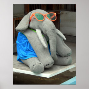 Ms Ella goes to the pool Poster