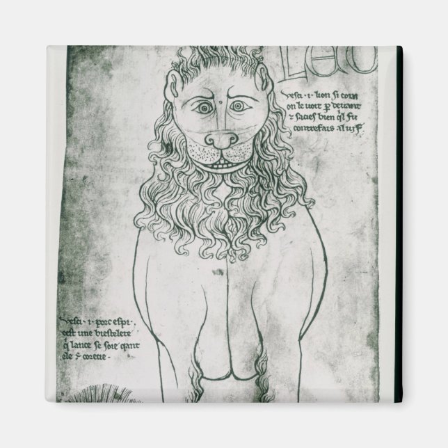 Ms Fr 19093 fol.24v Lion and Porcupine Magnet (Front)