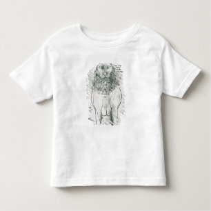 Ms Fr 19093 fol.24v Lion and Porcupine Toddler T-Shirt