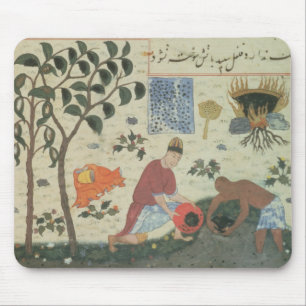 Ms Pers 332 Pepper tree and preparing pepper Mouse Pad