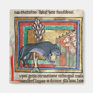 MS Roy A wolf outside a sheep fold Magnet