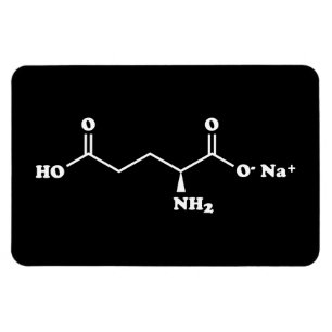 MSG Monosodium Glutamate Molecule Chemical Formula Magnet