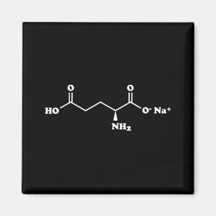 MSG Monosodium Glutamate Molecule Chemical Formula Magnet