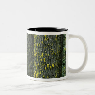 Mt. Ashland, Rogue RIver National Forest, Two-Tone Coffee Mug