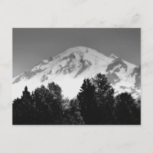 Mt. Baker Through Trees Postcard