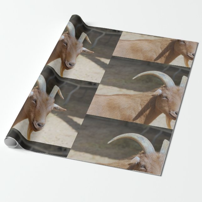 Mt.Bill Wrapping Paper (Unrolled)