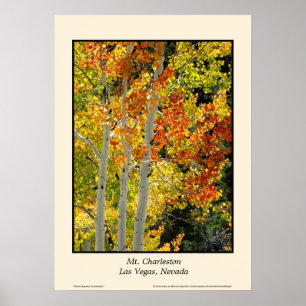 Mt. Charleston NV Autumn Aspen 20"x28" Poster