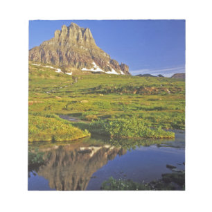 Mt Clements reflects into small pool at Logan Notepad