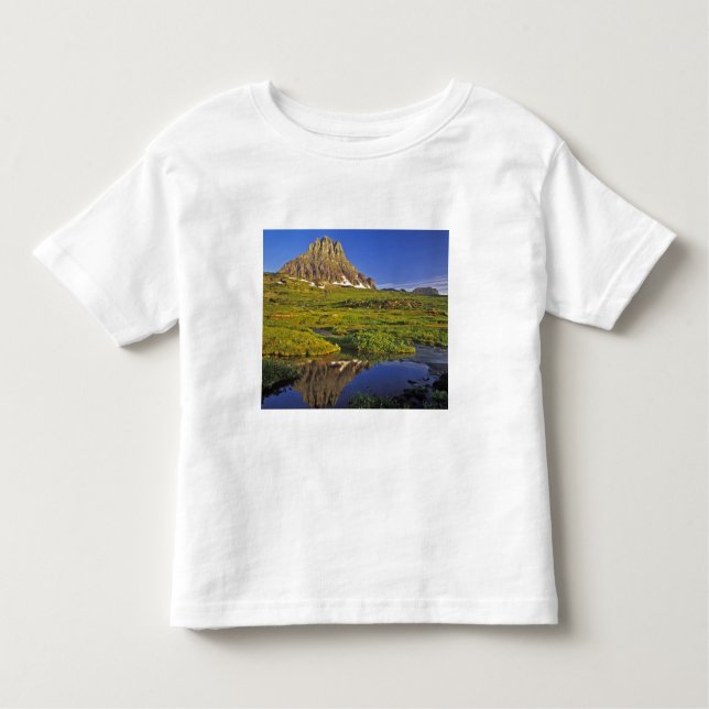 Mt Clements reflects into small pool at Logan Toddler T-Shirt (Front)
