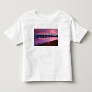 Mt. Denali at sunset from Reflection Pond Toddler T-Shirt