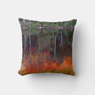 Mt. Desert Island Acadia National Park, Maine Cushion