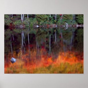 Mt. Desert Island   Acadia National Park, Maine Poster