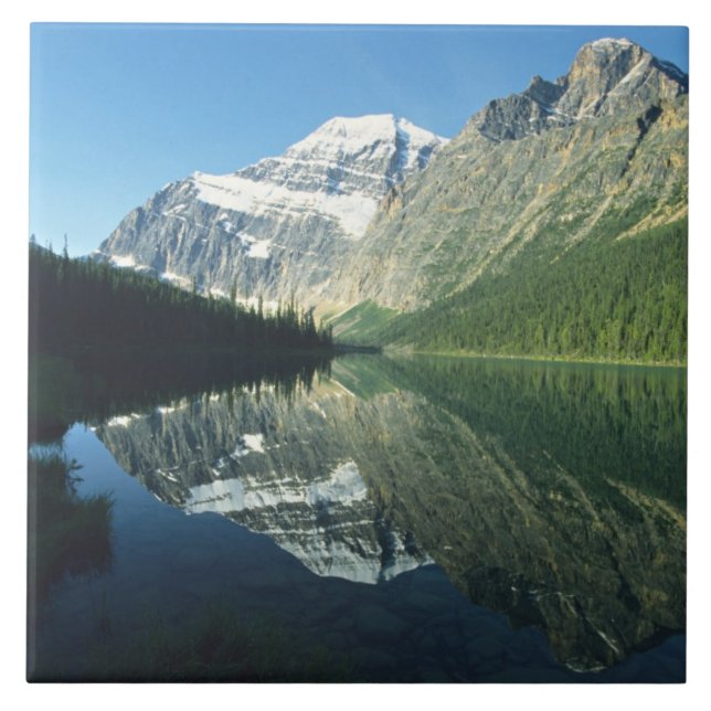 Mt Edith Cavell in Cavell Lake, Jasper National Tile (Front)