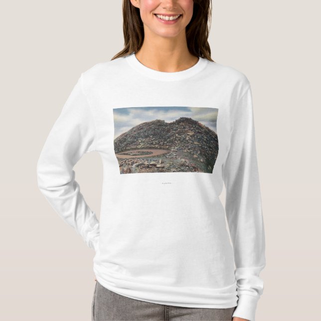 Mt. Evans, Colorado Summit ViewMt. Evans, CO T-Shirt (Front)