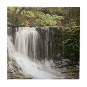 Mt. Field National Park Horseshoe Falls Ceramic Tile