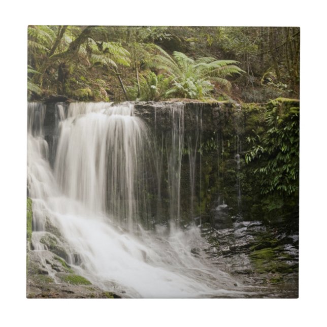 Mt. Field National Park | Horseshoe Falls Ceramic Tile (Front)