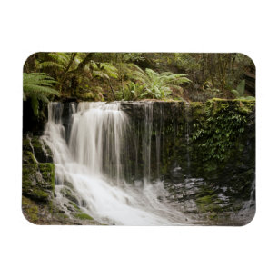 Mt. Field National Park   Horseshoe Falls Magnet