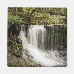 Mt. Field National Park Horseshoe Falls Magnet
