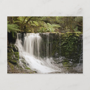 Mt. Field National Park   Horseshoe Falls Postcard