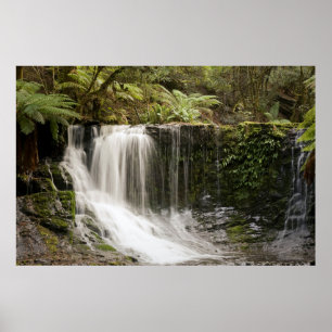 Mt. Field National Park Horseshoe Falls Poster