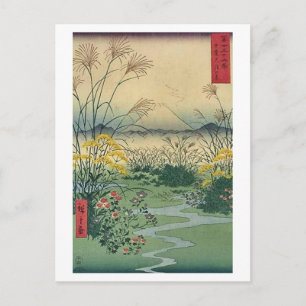 Mt Fuji 31 Postcard