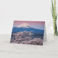 Mt Fuji and Cherry Blossoms