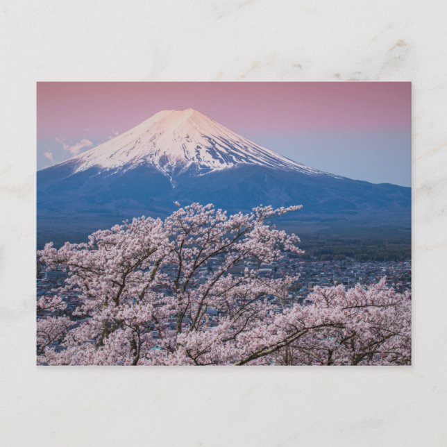 Mt Fuji and Cherry Blossoms Postcard (Front)