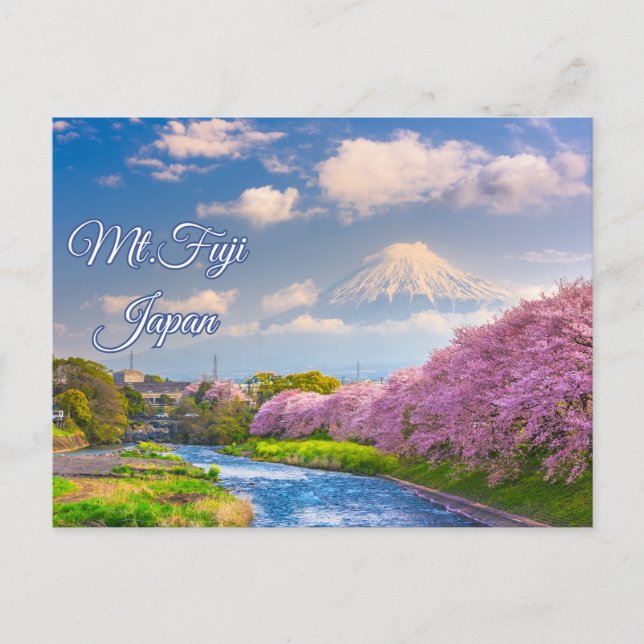 Mt. Fuji Japan River, Cherry Blossom Spring  Postcard (Front)